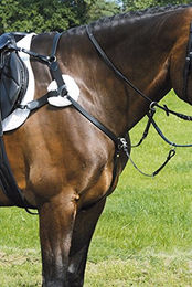 Hans Melzer Vorderzeug Marbach 5-Punkt für Warmblut aus Leder in Schwarz/Silber – Bild 1 von 3
