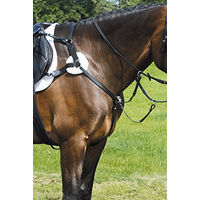 Produktbild von Hans Melzer Vorderzeug Marbach 5-Punkt für Warmblut aus Leder in Schwarz/Silber