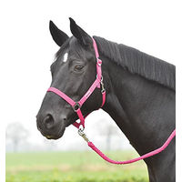 Produktbild von Hansa Halfter für Shetty in Rosa und Pink