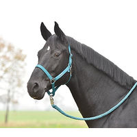 Produktbild von Hansa Shetty Halfter Blau Türkis