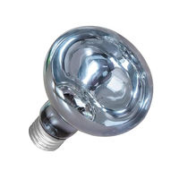 Produktbild von Happet Day Heat Wärmelampe Wärmestrahler für Terrarium und Küken 25 W Weiß - 25 Stk.