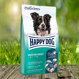 Happy Dog fit & vital Medium Adult Hundefutter mit Lachs, Meeresfisch, Lamm und Geflügel 2 x 12 kg – Bild 1 von 1