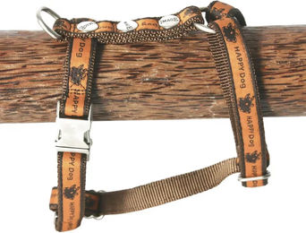 Produktbild von Happy Dog Hundegeschirr aus Nylon in Orange und Braun Größe L