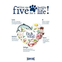 Produktbild von Happy Dog Supreme fit & vital Senior Hundefutter für mittlere Rassen getreidefrei 4 x 1 kg - 4 x 1 kg