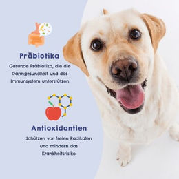 Produktbild von HAPPY JACKY Hundetrockenfutter Sensitive Monoprotein Pute 3x2 kg