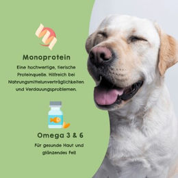 Produktbild von HAPPY JACKY Pferd Nassfutter Hypoallergen mit Süßkartoffel Monoprotein Getreidefrei 6x820 g