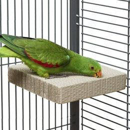HappyBird Eck-Sitzbrett aus Wellpappe für Wellensittiche und Papageien Large 20 x 20 x 4 cm – Bild 1 von 5