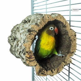 HappyBird Natur Kork Futterhaus Nistkasten für Nymphensittiche Papageien und Agaporniden Größe S – Bild 1 von 13