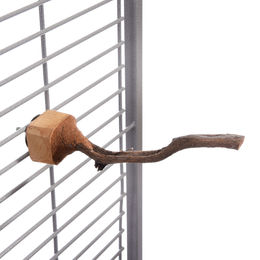 HappyBird Natur Lianen-Sitzstange aus Holz für Nymphensittiche und kleine Papageien 25-30cm - 1 Stk. – Bild 1 von 11