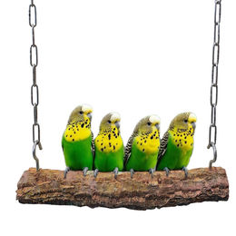 HappyBird Vogelschaukel aus Kork für Papageien und Sittiche Größe L – Bild 1 von 2