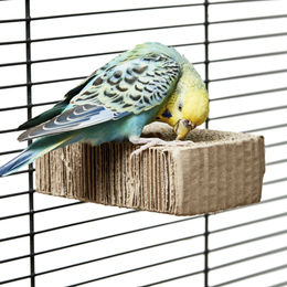 HappyBird Vogelspielplatz Sitzbrett aus Pappe für Papageien und Vögel zum Schreddern 12 x 8 x 4cm Braun – Bild 1 von 6