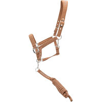 Produktbild von Harcour Cinsy Set aus Halfter und Longiergurt für Pferde