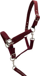 Harcour Cinsy Set aus Halfter und Longiergurt für Pferde – Bild 1 von 1