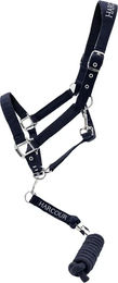 Harcour Cinsy Set aus Halfter und Longiergurt für Pferde – Bild 1 von 1