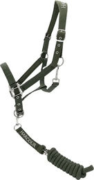 Harcour Cinsy Set aus Halfter und Longiergurt für Pferde – Bild 1 von 1