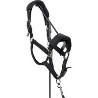 Produktbild von Harcour Ergonomisches Mesh-Pferdehalfter mit Longen