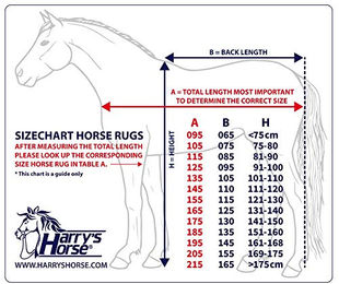 Produktbild von Harry's Horse Abschwitzdecke Champion Schwarz 195cm
