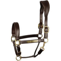 Produktbild von Harry's Horse Anatomisches Lederhalfter für Pferde in Braun