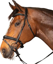 Produktbild von Harry's Horse Anatomisches Reitkomplettzeug Soft Carbon aus Leder in Schwarz für Vollblut