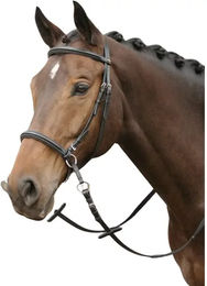Harry's Horse Bitless Reittrense für Pferde aus Leder in Schwarz Größe L – Bild 1 von 2