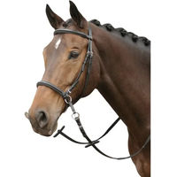 Produktbild von Harry's Horse Bitless Reittrense für Pferde aus Leder in Schwarz Größe L