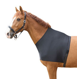 Produktbild von Harry's Horse Borstbeschermer Lycra Schwarz Größe M
