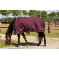 Produktbild von Harry's Horse Calgary Turnierpolo mit langen Ärmeln für Damen