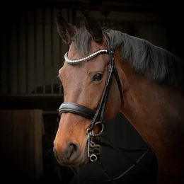 Produktbild von Harry's Horse Cavecon Leder Trense für Vollblut in Schwarz