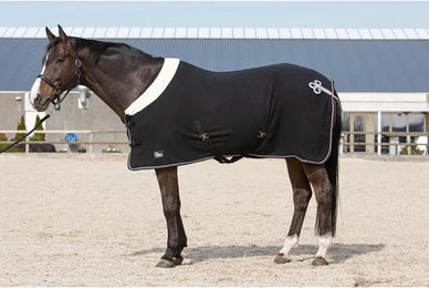Produktbild von Harry's Horse Champion Trocknende Fleecedecke für Pferde aus Polyester in Schwarz