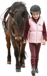 Produktbild von Harry's Horse Diva Stella Gamaschen für Ponys in Silber aus Polyester