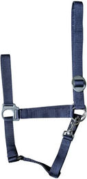 Produktbild von Harry's Horse Economy Halfter aus Nylon in Blau für Pferde