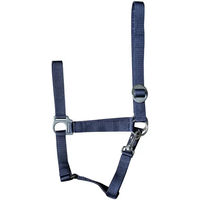 Produktbild von Harry's Horse Economy Halfter aus Nylon in Blau für Pferde