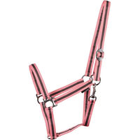 Produktbild von Harry's Horse Economy Pferd Halfter aus Nylon in Rosa Bunt
