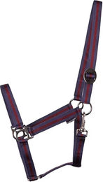 Produktbild von Harry's Horse Economy Pferdehalfter aus Nylon für Ponys in Blau oder Bunt