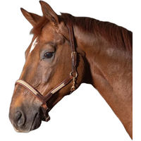 Produktbild von Harry's Horse Flash Lederhalfter für Pferde in Schwarz oder Braun