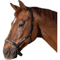 Produktbild von Harry's Horse Flash Lederhalfter für Pferde in Schwarz oder Braun