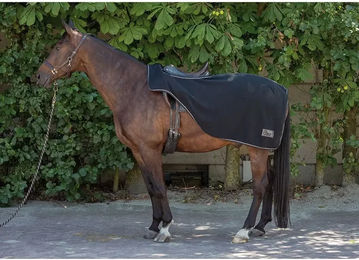 Harry's Horse Fleece-Nierenabdeckung für Pferde in Türkis und Schwarz Größe S – Bild 1 von 2