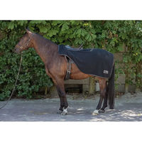 Produktbild von Harry's Horse Fleece-Nierenabdeckung für Pferde in Türkis und Schwarz Größe S