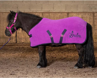 Produktbild von Harry's Horse Fleecedecke für Pferde LouLou Quinn Lila