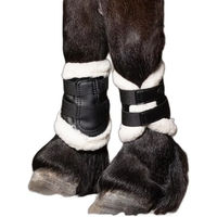 Produktbild von Harry's Horse Flextrainer Tiny Air Geschlossene Gamaschen für Ponys in Schwarz