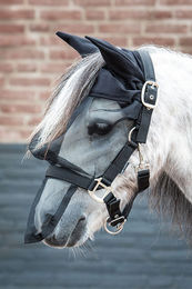 Harry's Horse Fliegenmaskenhalfter mit Ohren- und Nüsternschutz für Shetlandponys in Schwarz – Bild 1 von 3
