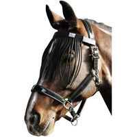 Produktbild von Harry's Horse Fliegenstirnband für Pferde aus Kunststoff in Schwarz