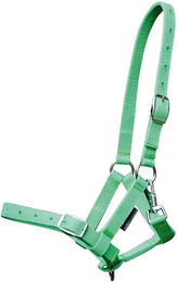Produktbild von Harry's Horse Fohlen Halfter aus Nylon in Grün