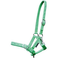 Produktbild von Harry's Horse Fohlen Halfter aus Nylon in Grün