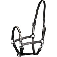 Produktbild von Harry's Horse Fohlenhalfter aus Leder mit Kristall in Schwarz