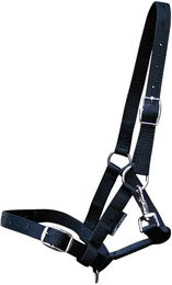 Harry's Horse Fohlenhalfter aus Nylon in Schwarz – Bild 1 von 1