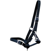 Produktbild von Harry's Horse Fohlenhalfter aus Nylon in Schwarz