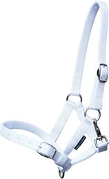 Produktbild von Harry's Horse Fohlenhalfter aus Nylon in Weiß