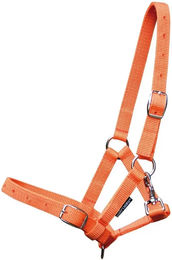 Produktbild von Harry's Horse Fohlenhalfter in Orange