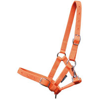 Produktbild von Harry's Horse Fohlenhalfter in Orange